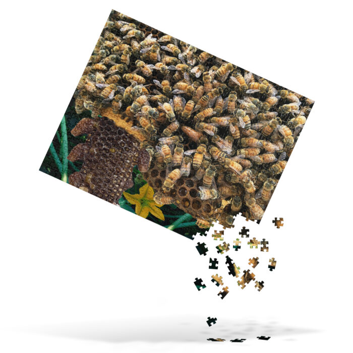 Find the Queen - Jigsaw puzzle from Tiny Plane, sold by Chandler Designs.